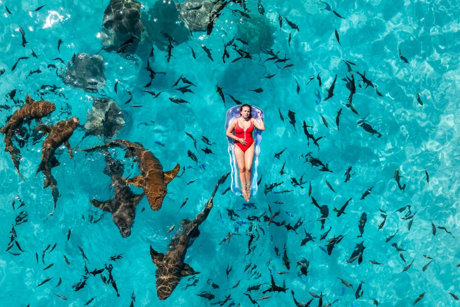 A woman floats on a raft surrounded by sharks in the clear Maldives waters.