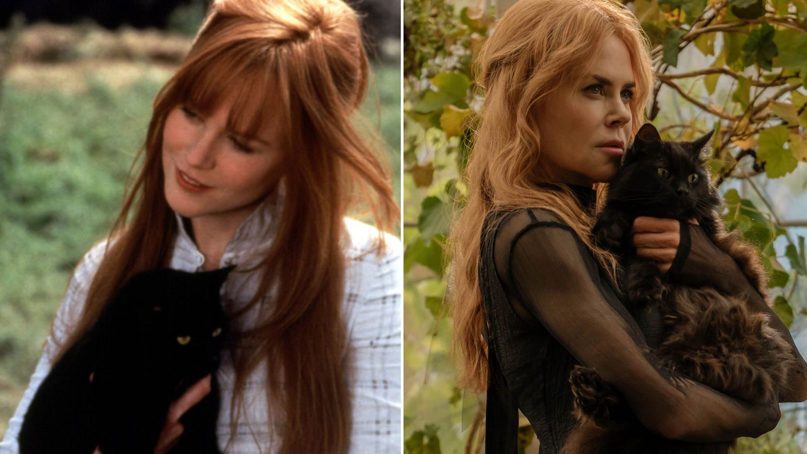 Why Nicole Kidman's Practical Magic 2 Wig Required Redesign